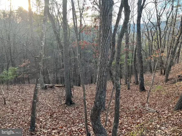 0 STRATON, Basye, VA 22810