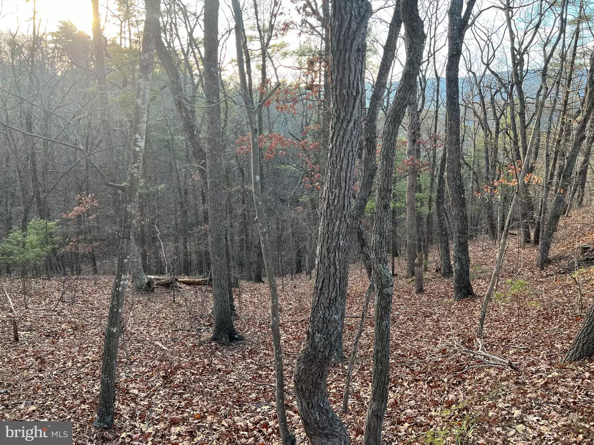 Basye, VA 22810,0 STRATON