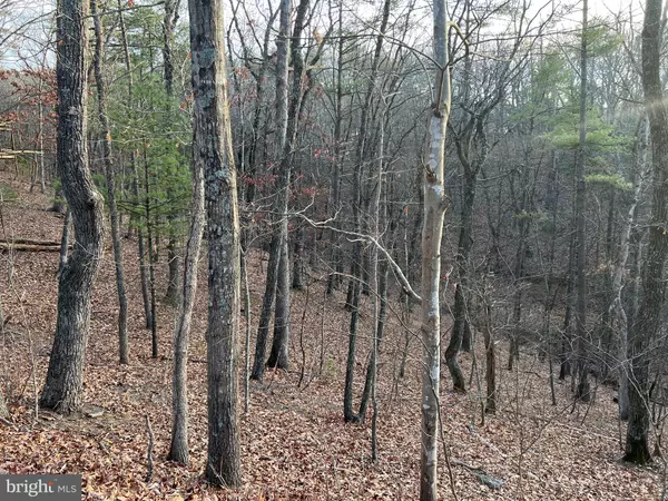 Basye, VA 22810,0 STRATON