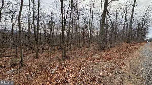 Winchester, VA 22602,LOT 57, 58, 59 IROQUOIS TRL