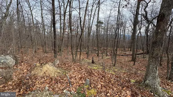 Winchester, VA 22602,LOT 57, 58, 59 IROQUOIS TRL