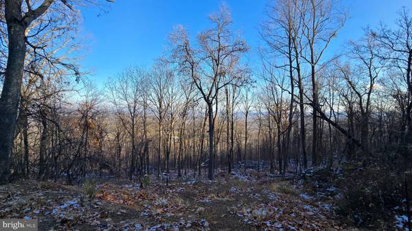 Hedgesville, WV 25427,ARRAN LN