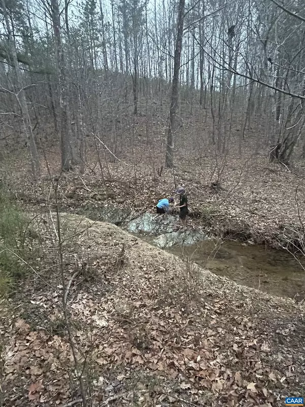 Wingina, VA 24599,TBD UNION HILL DR