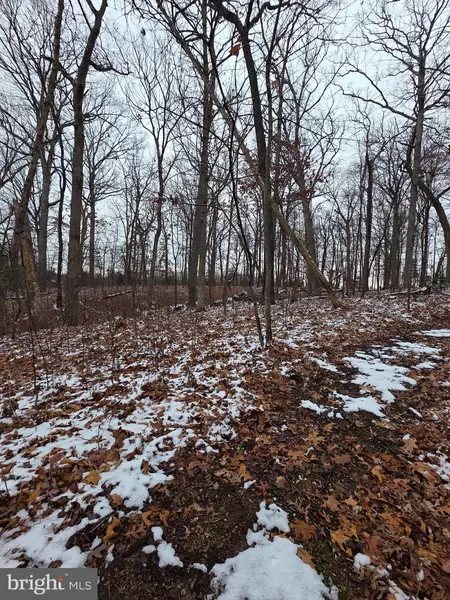 HUTTLE, Middletown, VA 22645