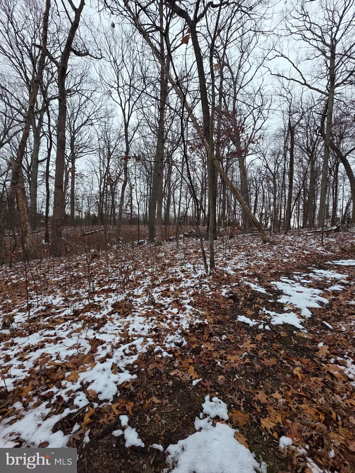 Middletown, VA 22645,HUTTLE