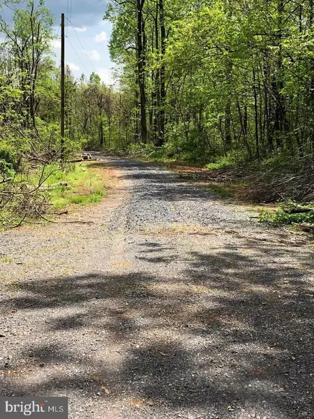 0 OLD ORCHARD RD, Linden, VA 22642