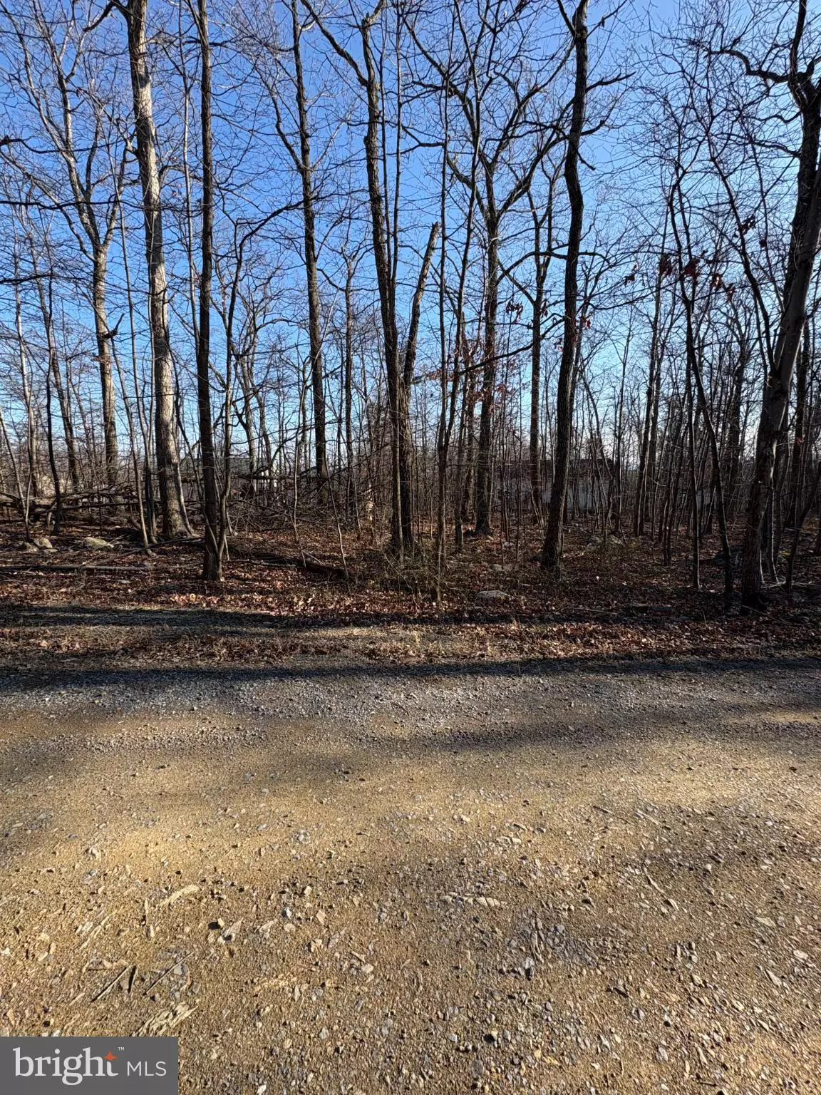 Winchester, VA 22602,LOT 26 CROW DR