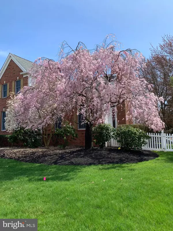 Belle Mead, NJ 08502,181 BERKLEY AVE