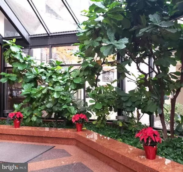 Arlington, VA 22209,1530 KEY BLVD #1319