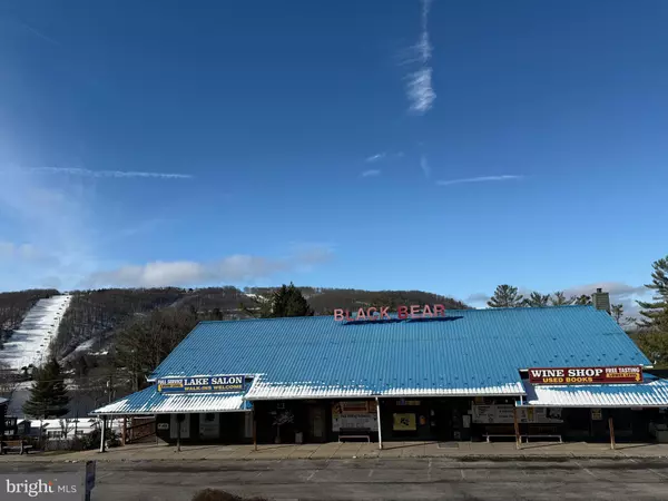 93 FORT DR, Mc Henry, MD 21541