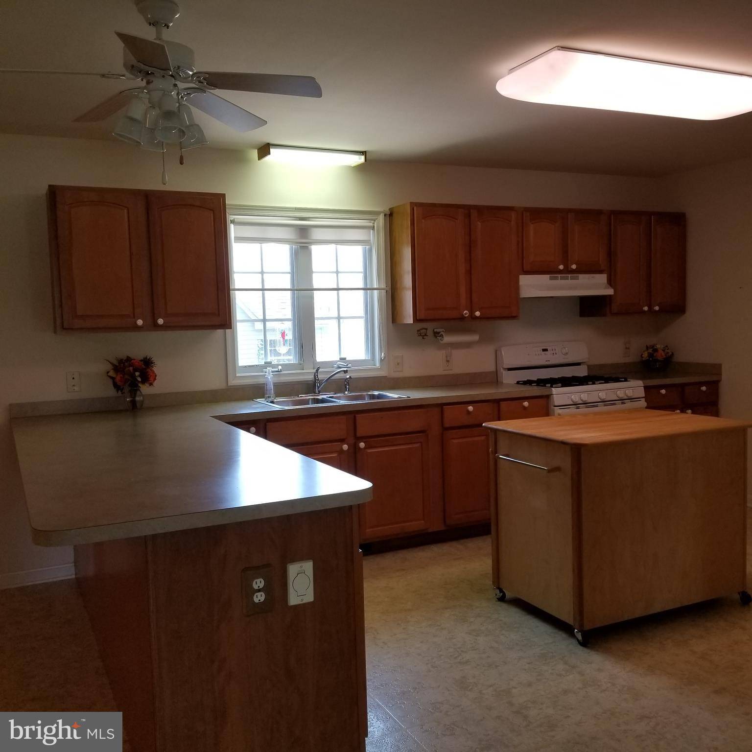 Felton, DE 19943,412 CATTLE DR
