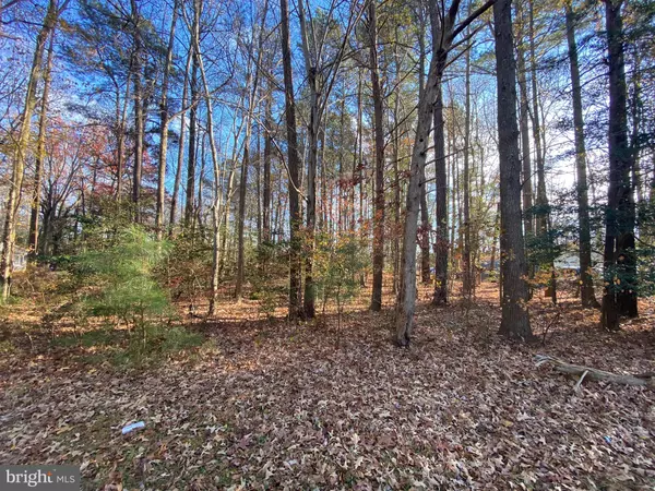 HUMMINGBIRD LOT 03, Ellendale, DE 19968