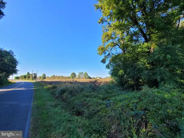 Preston, MD 21655,BRUNKHORST RD #LOT 1 PARCEL 215