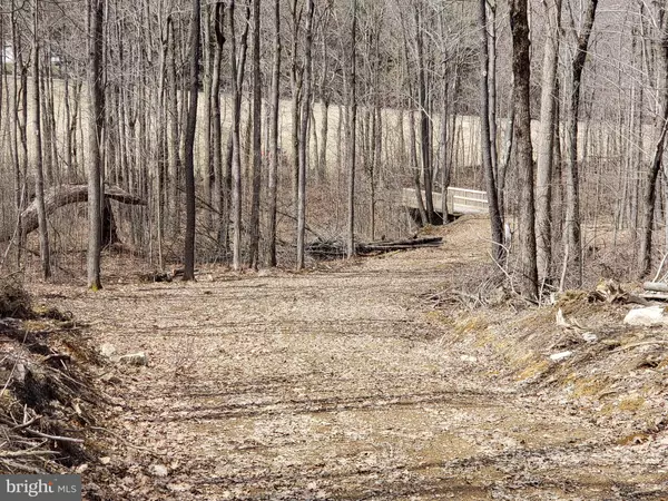 Grantsville, MD 21536,CHESTNUT RIDGE RD