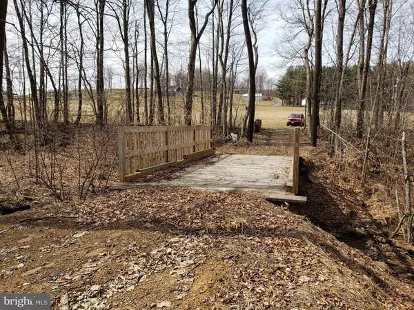 Grantsville, MD 21536,CHESTNUT RIDGE RD