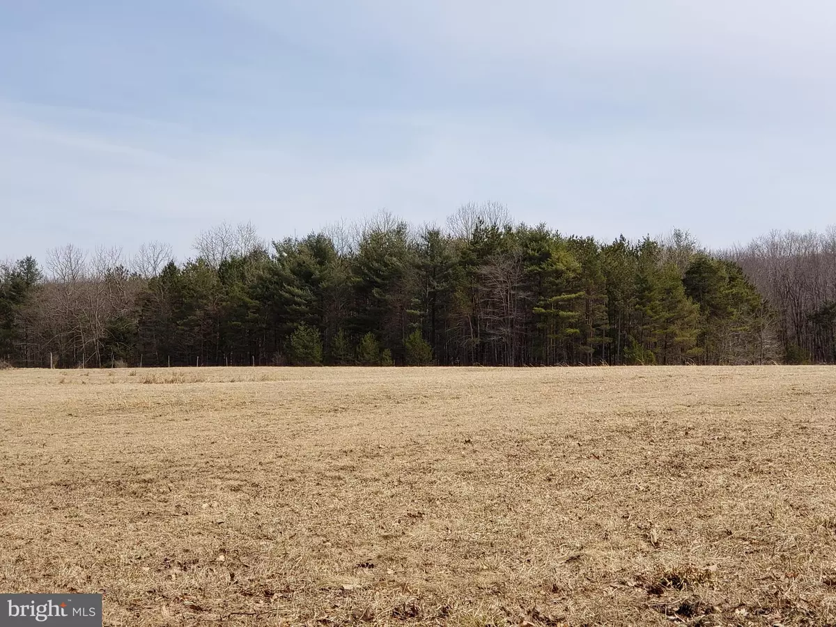 Grantsville, MD 21536,CHESTNUT RIDGE RD