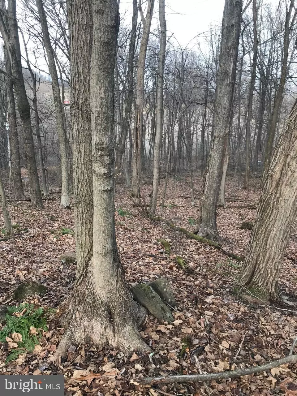 Friendsville, MD 21531,LITTLE ROUND TOP