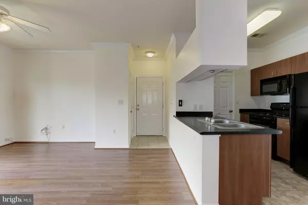 Germantown, MD 20874,19629-304 GALWAY BAY CIR #304