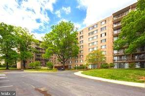 4410 OGLETHORPE ST #217, Hyattsville, MD 20781