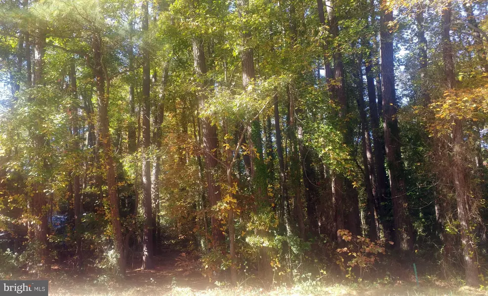 LOT 23 TALBOT RD, Stevensville, MD 21666