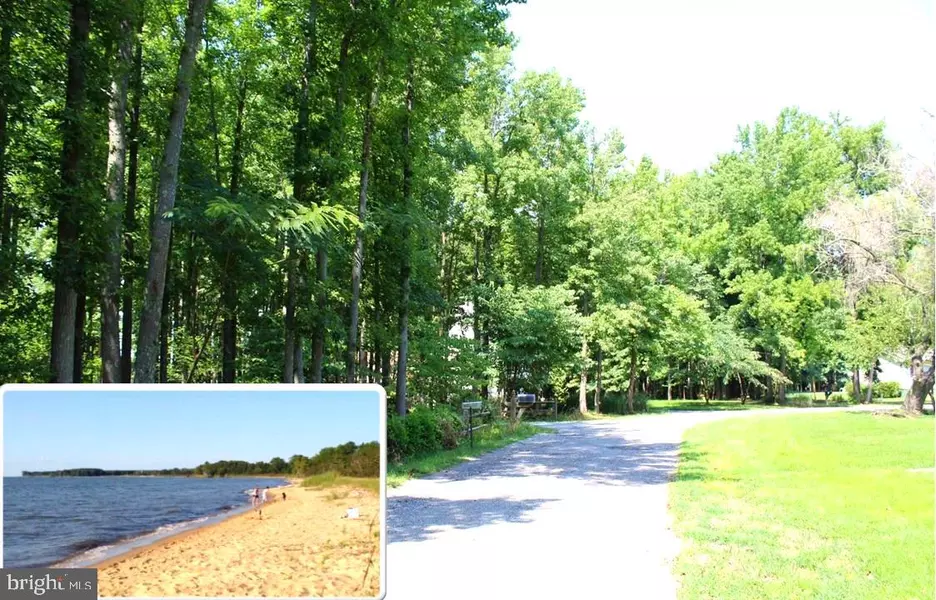 LOT 64, 65, 66 ELM ST, Stevensville, MD 21666