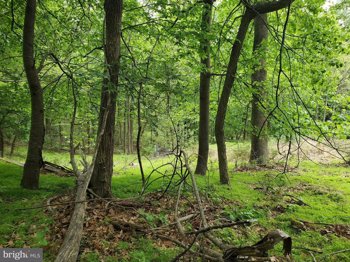 Knoxville, MD 21758,1344 HOFFMASTER RD