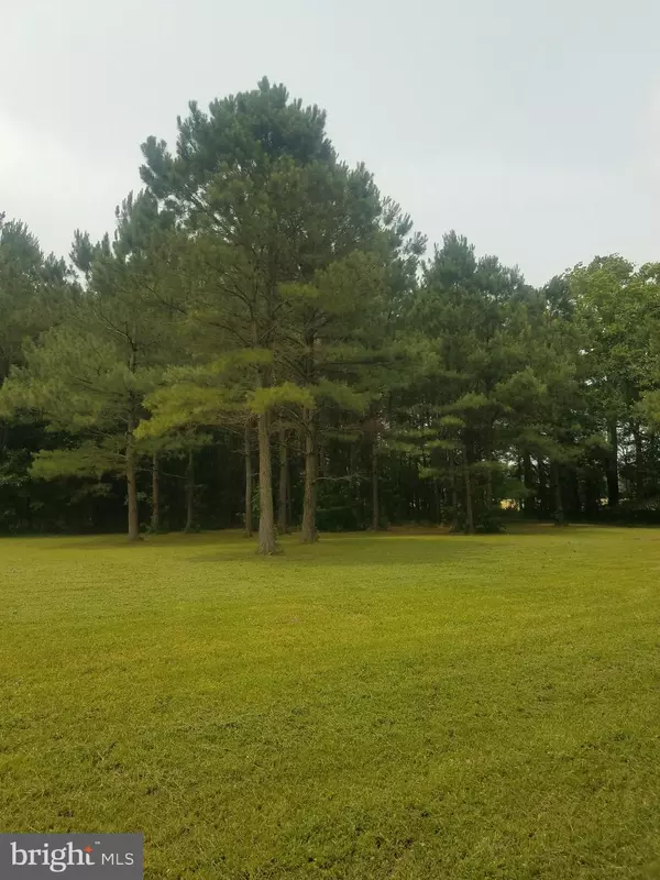 Pocomoke City, MD 21851,1615 COLONA RD