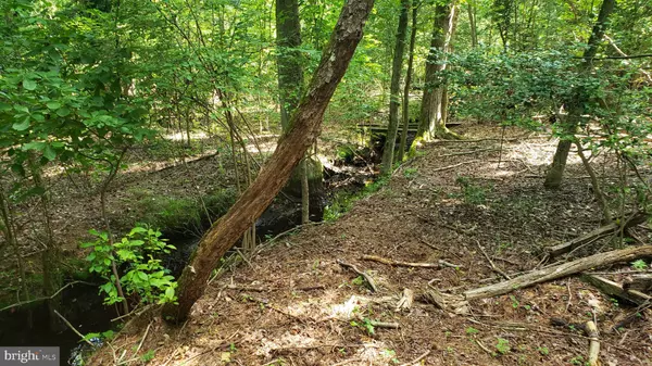 Elmer, NJ 08318,51 LAUREL AVE