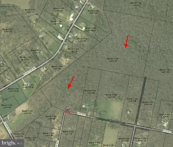 Elmer, NJ 08318,51 LAUREL AVE