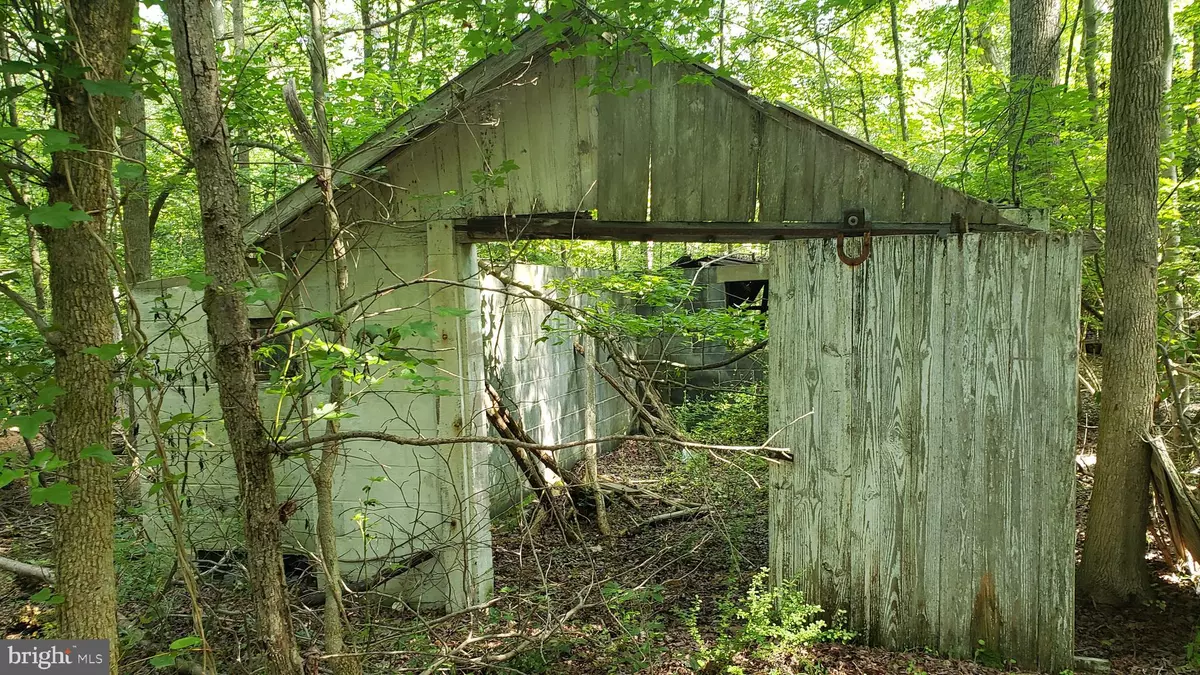 Elmer, NJ 08318,51 LAUREL AVE