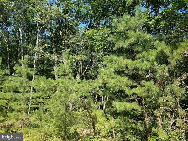 LOT 6 FOREST ST, Lehighton, PA 18235