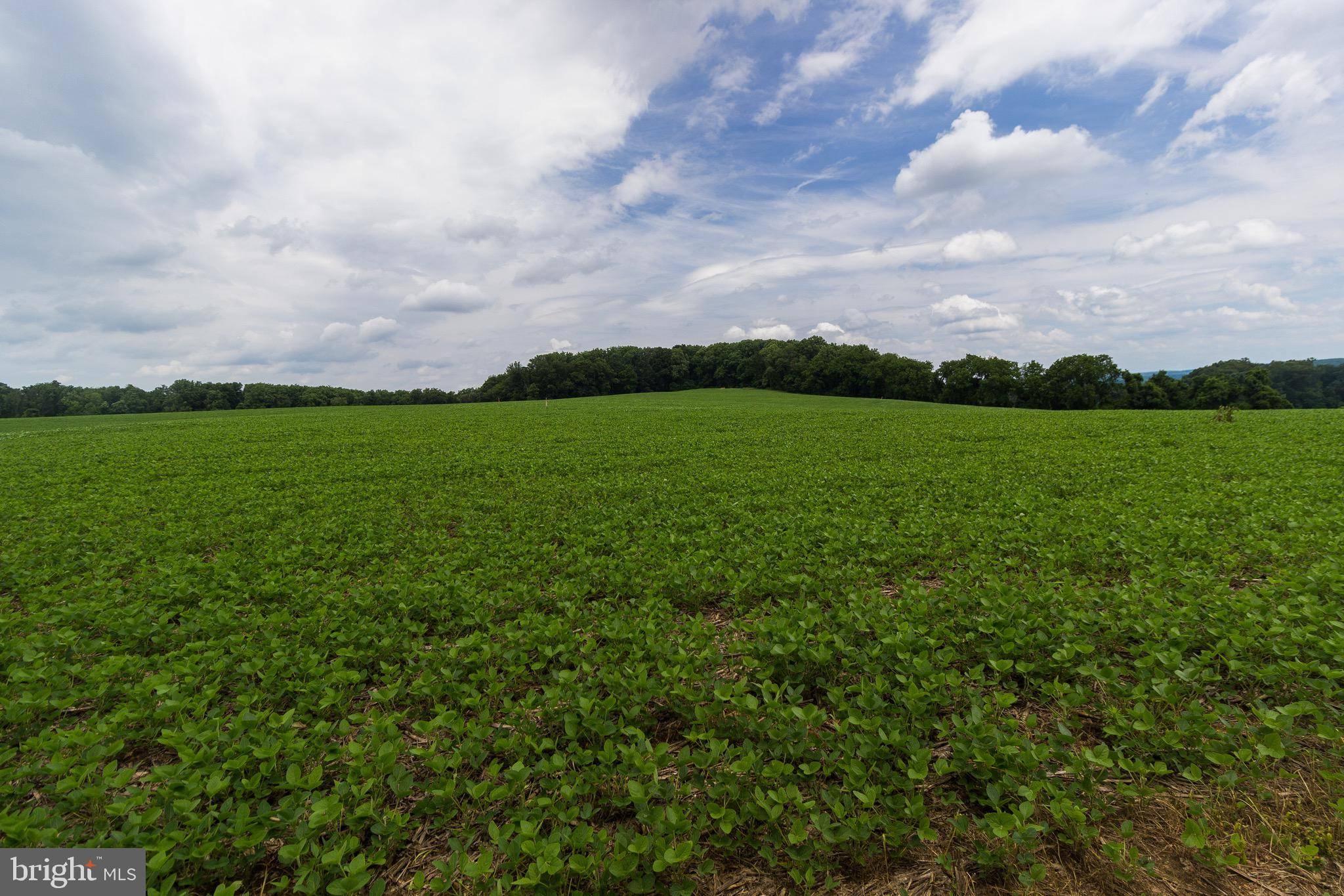 2241 MILLER RD #LOT 15, Chester Springs, PA 19425