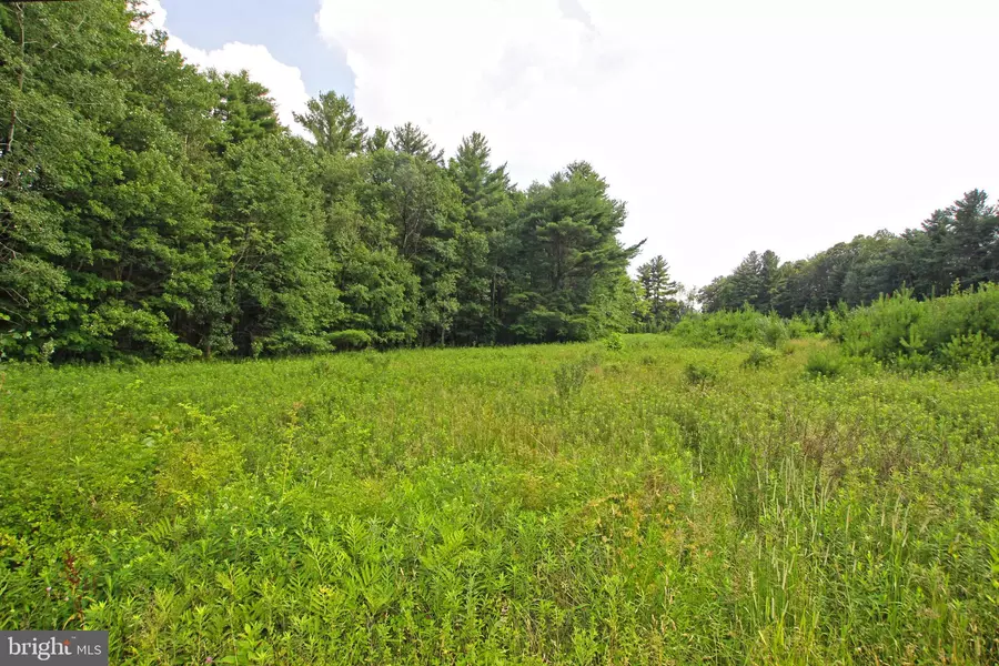 LOT T439 ASTOLAT RD, Effort, PA 18330