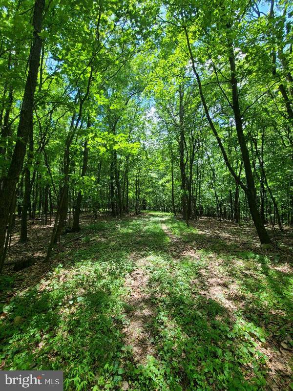 Duncannon, PA 17020,LOT 4 PINE HILL RD