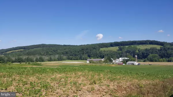 New Ringgold, PA 17960,0 WHITETAIL LN