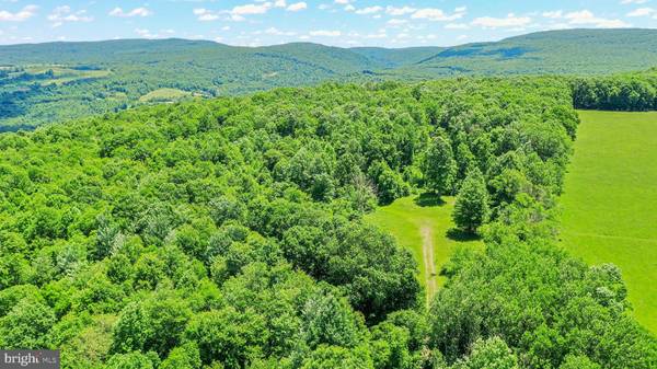 LOWER WHITES CREEK RD, Confluence, PA 15424