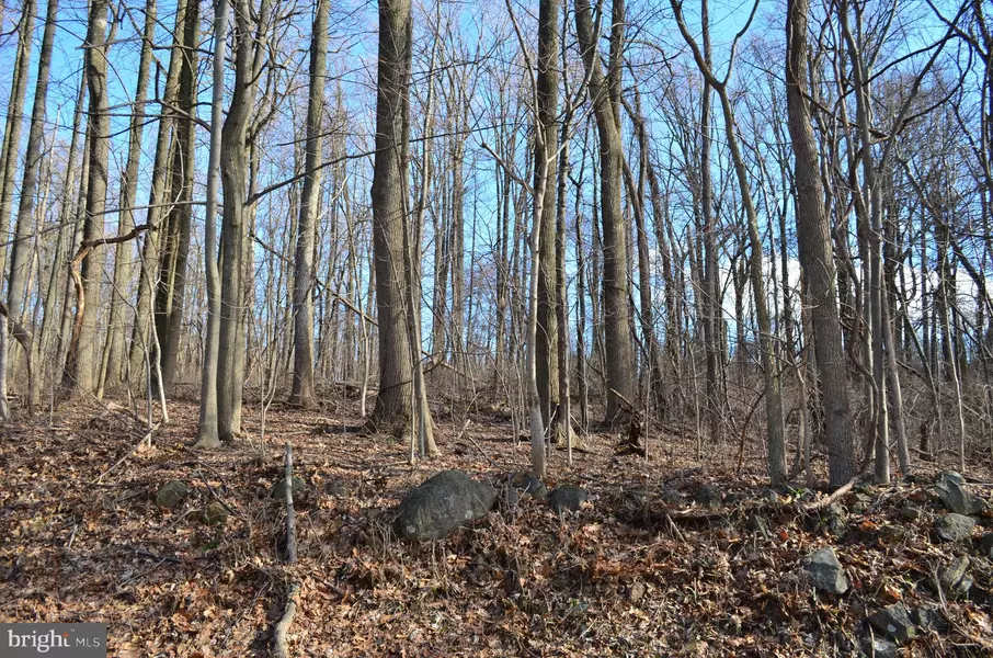 LOT 4 MEADOW TRAIL, Dillsburg, PA 17019