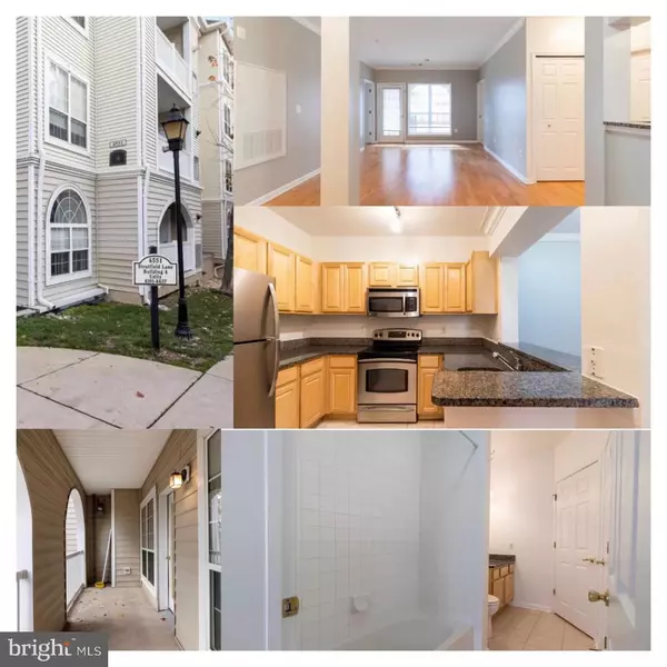 Alexandria, VA 22311,4551 STRUTFIELD LN #4103