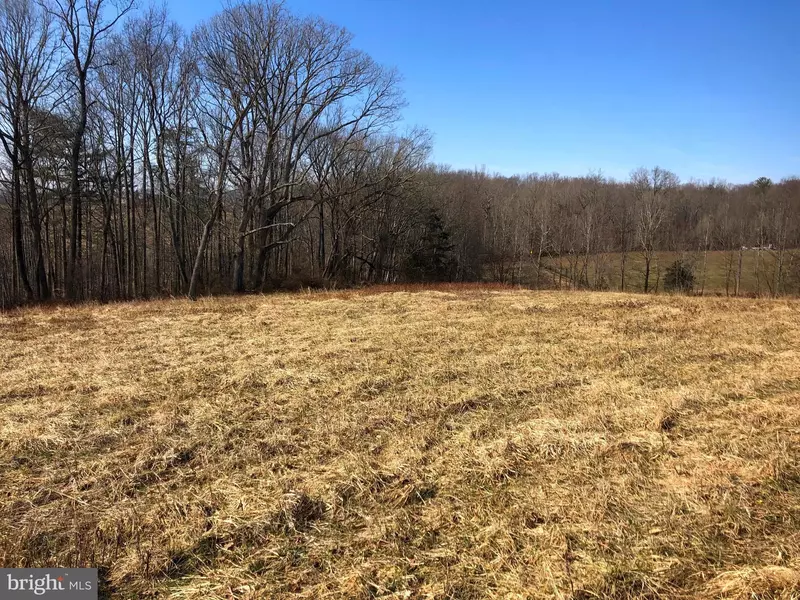 BEAR HOLLOW LN, Rixeyville, VA 22737