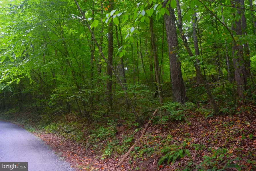 LOT 6 CAMPGROUND LANE, Castleton, VA 22716