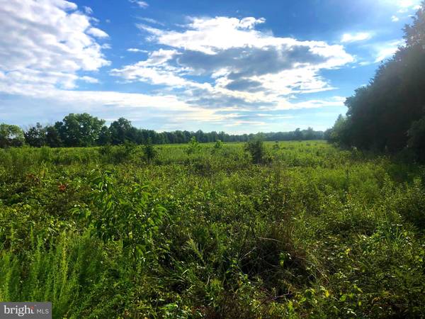 Elkwood, VA 22718,KELLYS FORD RD