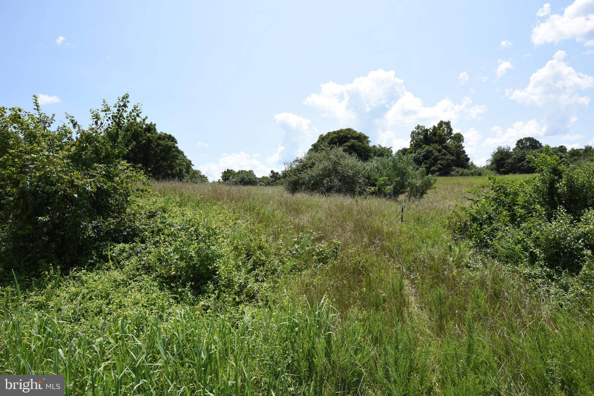 LOT 2 - JOHN MARSHALL HWY, Delaplane, VA 20144