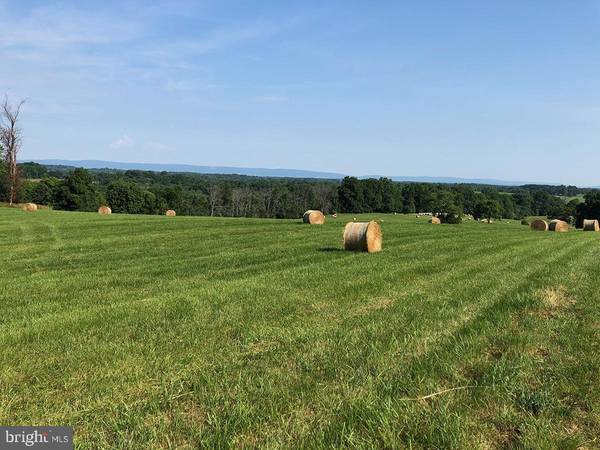 LOGANS MILL ROAD, The Plains, VA 20198