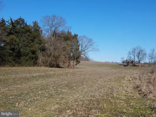 Bealeton, VA 22712,OLD MARSH ROAD