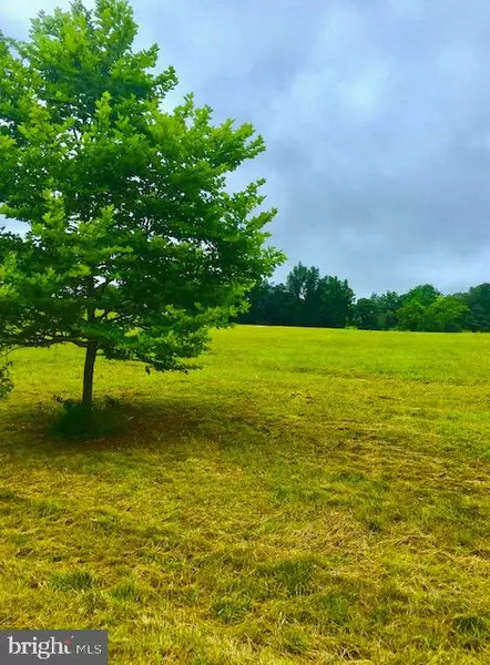 BUNCHBERRY & SERVICEBERRY COURTS, Stephens City, VA 22655