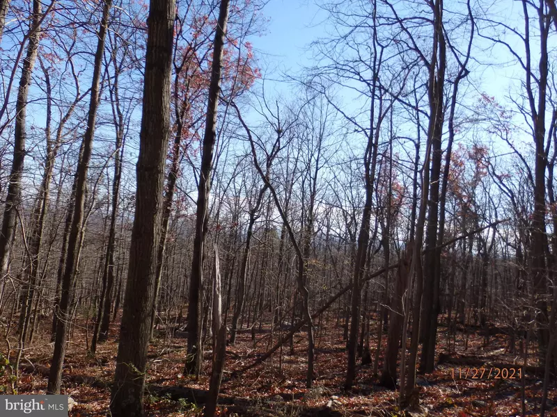 LOT 23 FOX TRAIL, Winchester, VA 22602