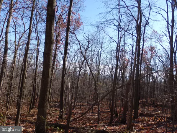 LOT 23 FOX TRAIL, Winchester, VA 22602