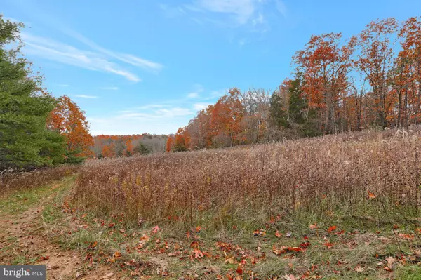 Gore, VA 22637,TBD NORTHWESTERN PIKE