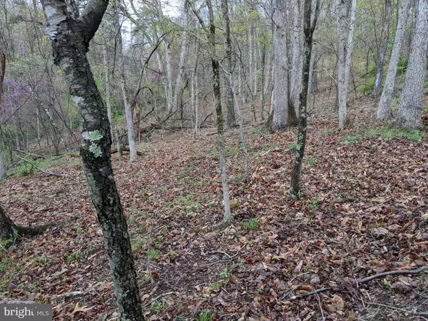 Cross Junction, VA 22625,LOT 28 FOREST