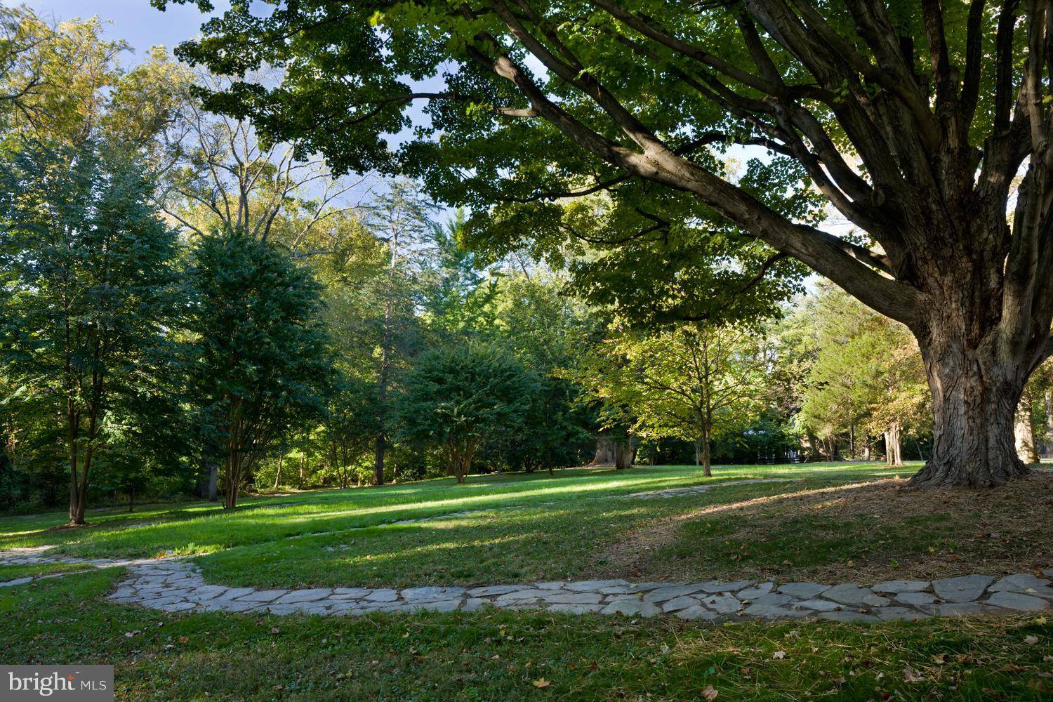 Mclean, VA 22101,6431 GEORGETOWN PIKE